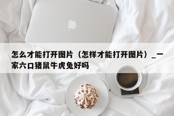 怎么才能打开图片（怎样才能打开图片）_一家六口猪鼠牛虎兔好吗